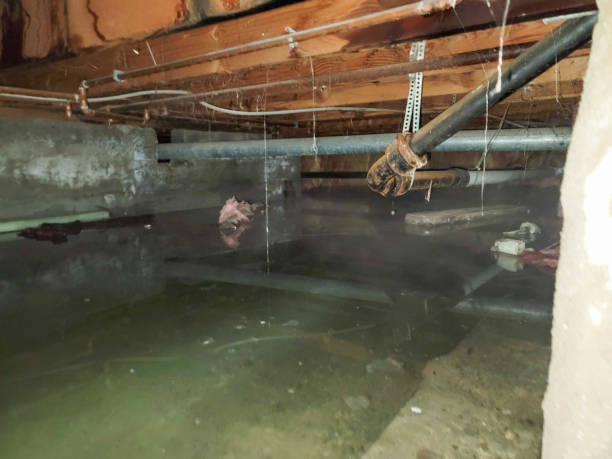 Fire Damage Restoration in Tekamah, NE