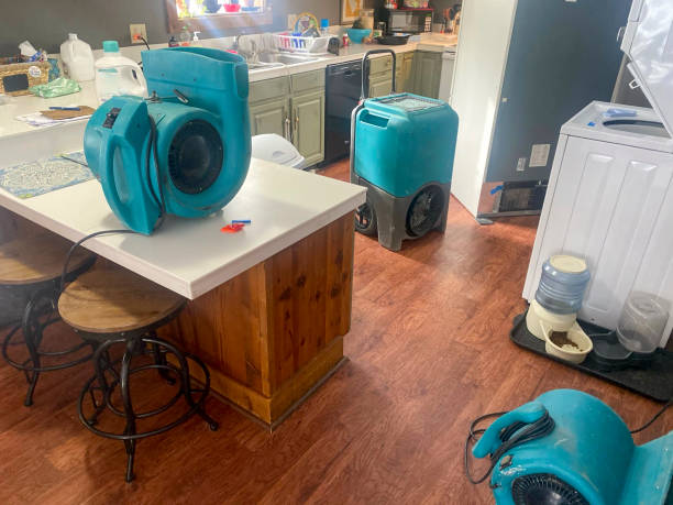 Best Residential water damage restoration  in Tekamah, NE