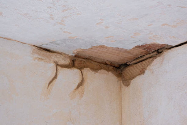 Tekamah, NE Water damage restoration Company