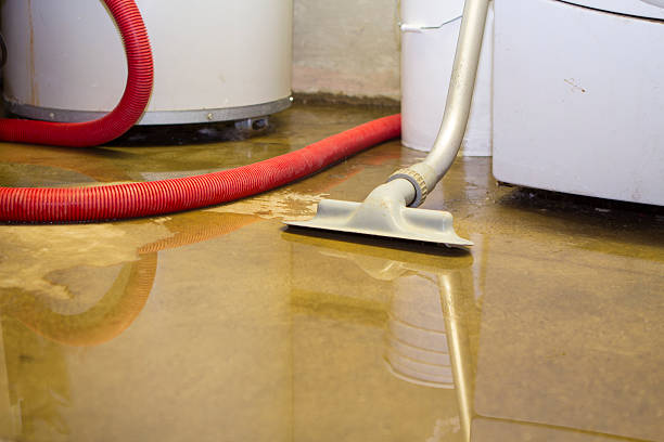 Best Professional water damage repair  in Tekamah, NE
