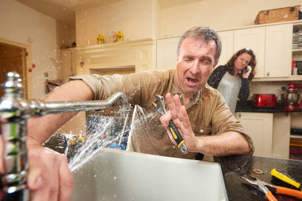 Best Professional water damage repair  in Tekamah, NE